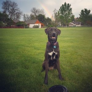 Meet your Posher, Susan